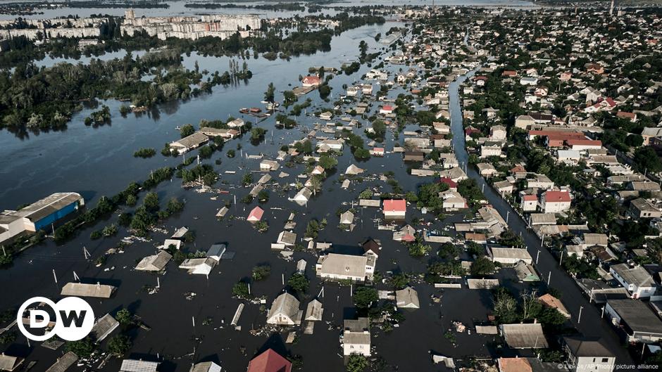 Time to criminalize environmental damage, says survey